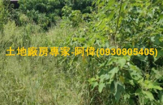 燕巢工業地-0