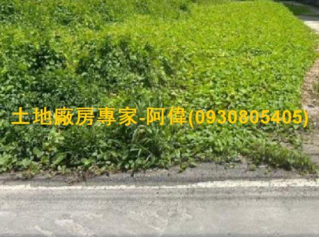 高雄大寮農地-0