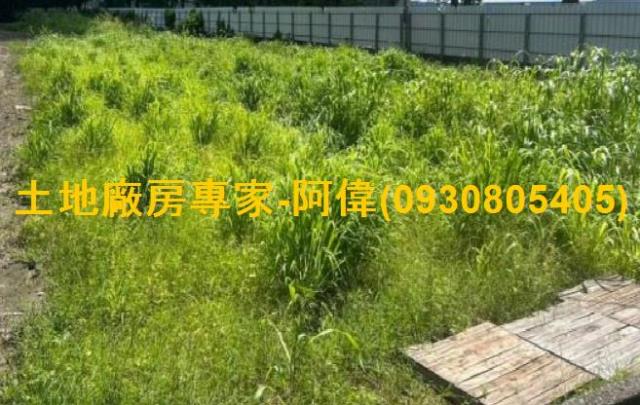 高雄大寮農地-0