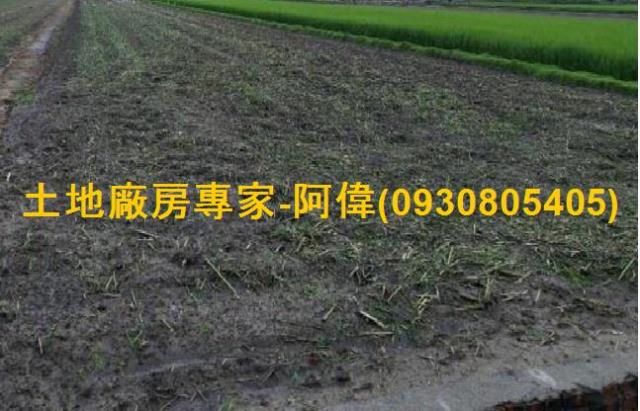 高雄橋頭農地-0