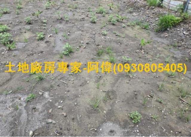 高雄大寮農地-0