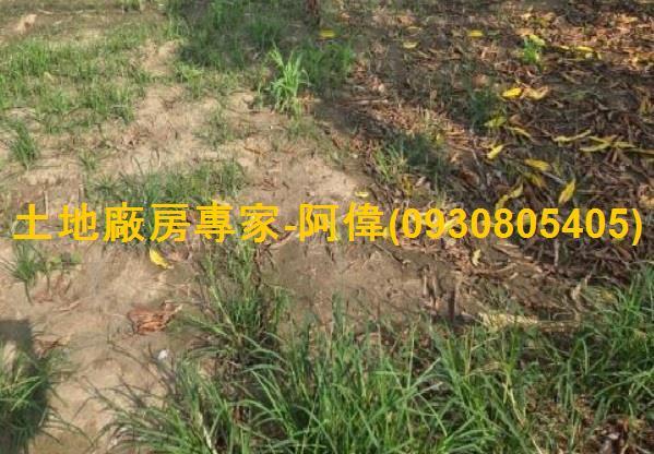 高雄林園農地-0
