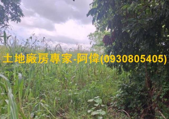 燕巢農地-0