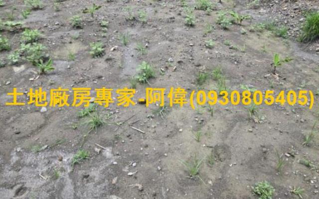 高雄大寮農地-0