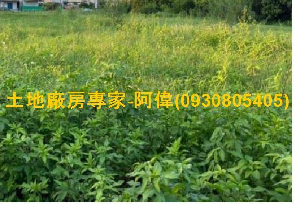 大寮農地-0