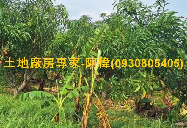 高雄農地-0