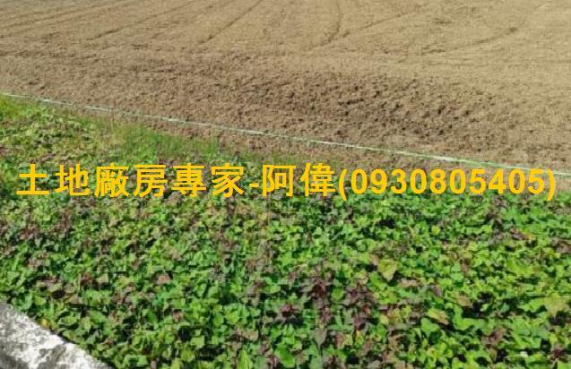 高雄農地-0