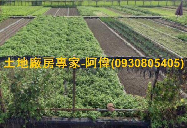 大寮農地-0
