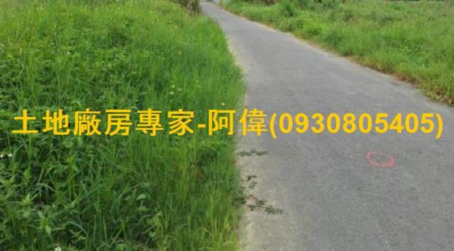 大社農地-0