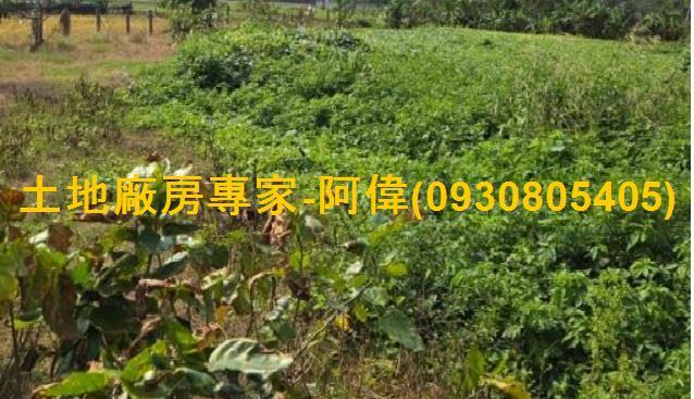 高雄林園農地-0