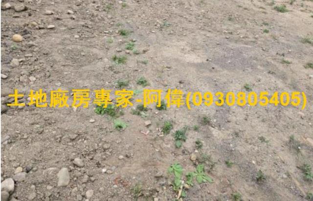 高雄大寮商業地-0
