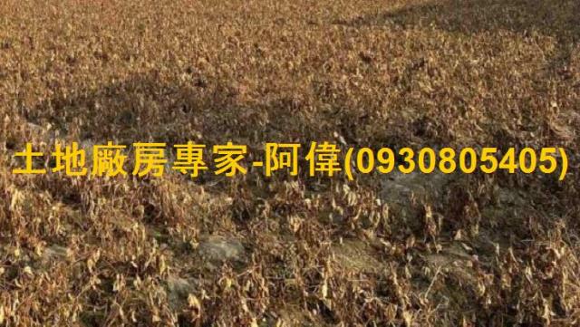 大寮農地-0