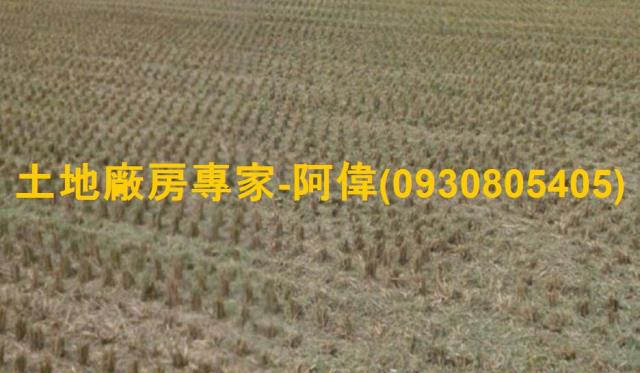 善化工業地-0