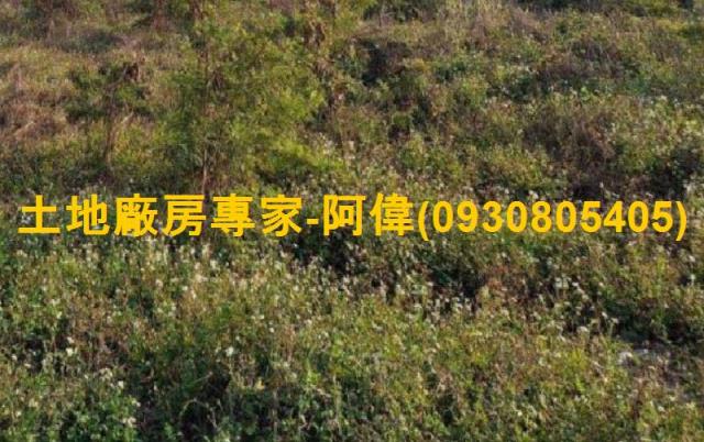 麻豆工業地-0