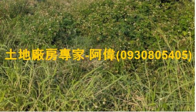高雄農地-0