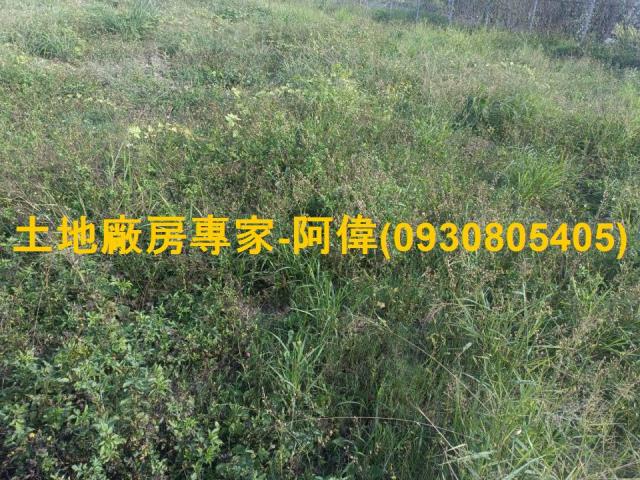 大寮農地-0