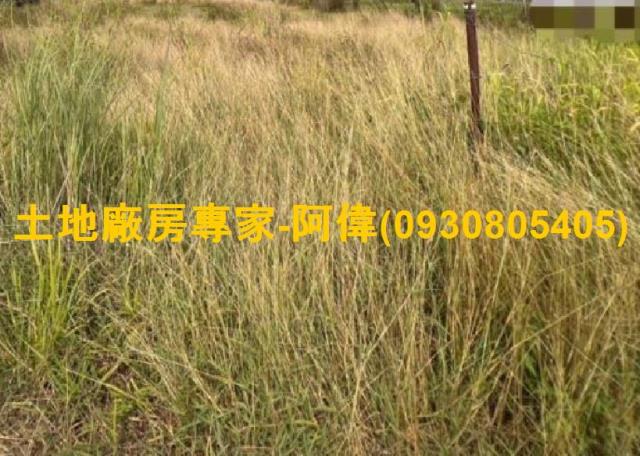 大寮農地-0