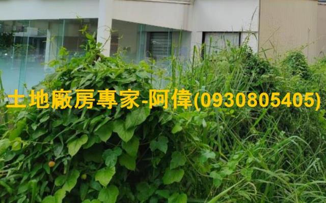 高雄左營住宅地-0