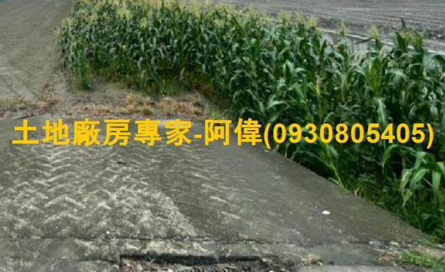 林園農地-0