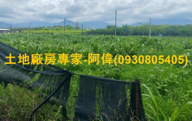 屏東鹽埔農地-0
