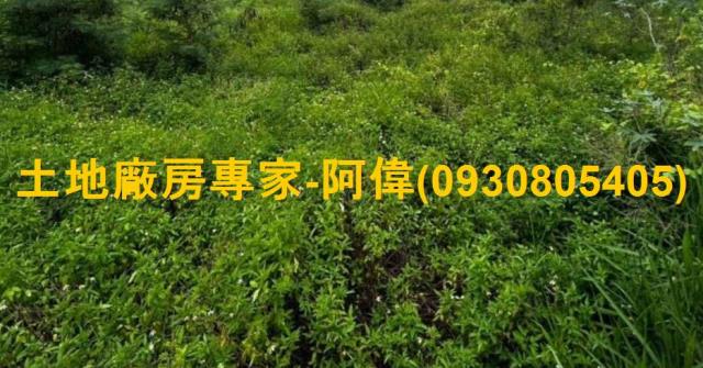 台南麻豆工業地-0