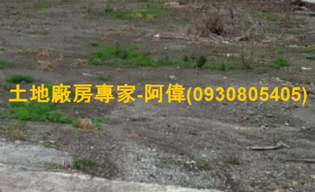 新園農地-0