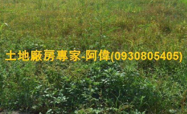 大寮農地-0