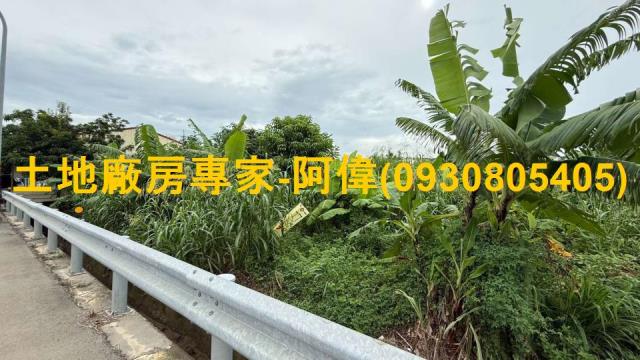 大樹農地-0