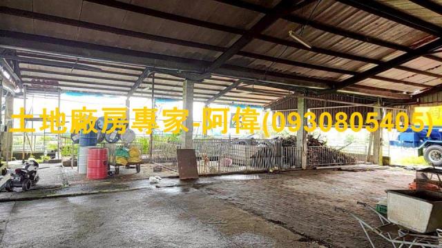 阿蓮農地-0