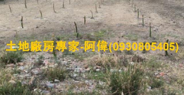 大寮農地-0