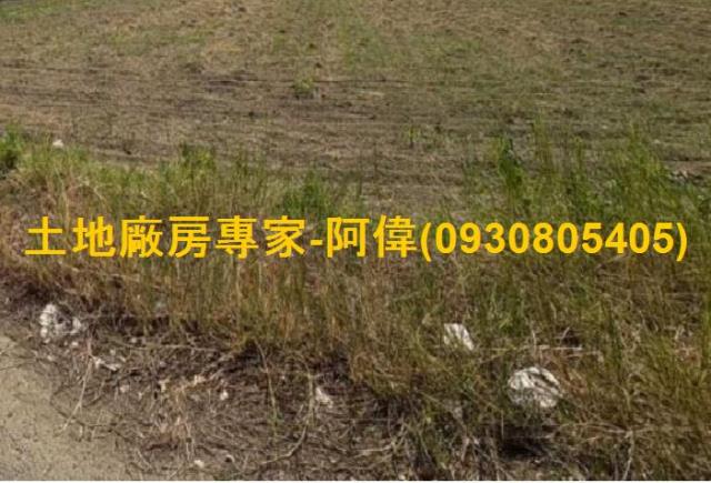 台南永康農地-0