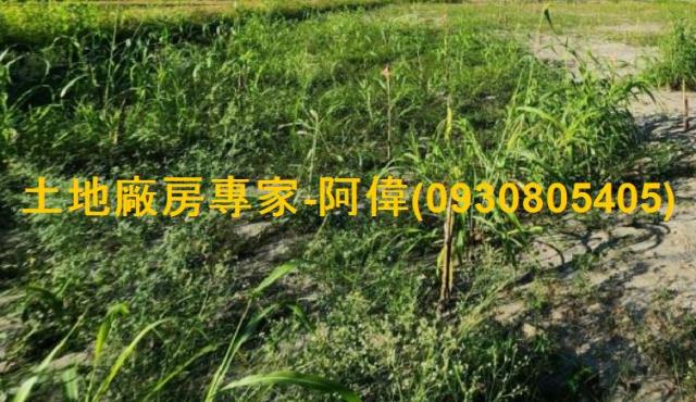 高雄大寮農地-0