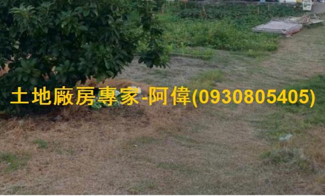 高雄林園住宅地-0