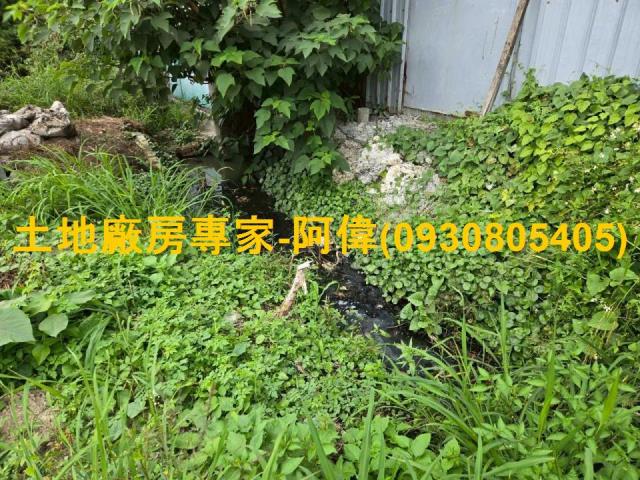 高雄林園農地-0