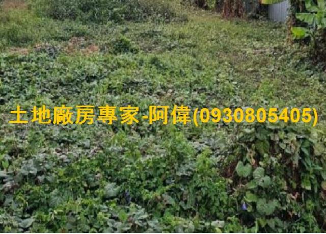 高雄林園住宅地-0