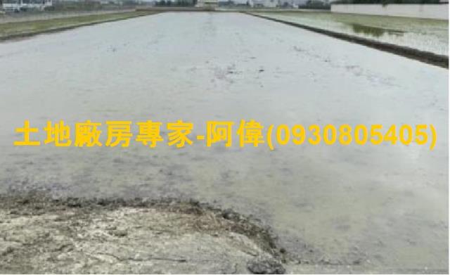 大寮農地-0