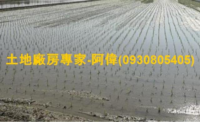 高雄大寮農地-0