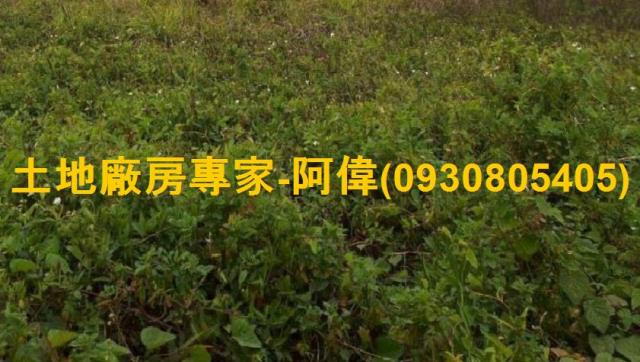 高雄永安農地-0