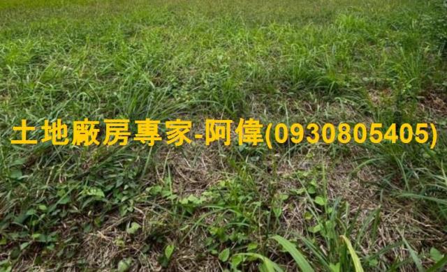 高雄仁武住宅地-0