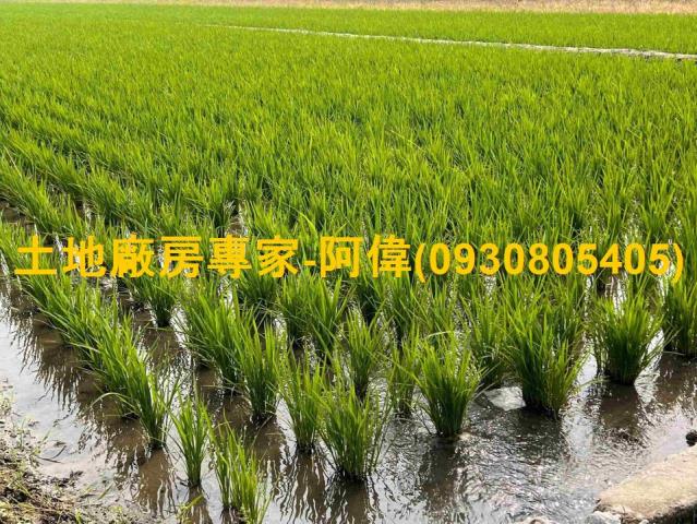 高雄鳥松農地-0
