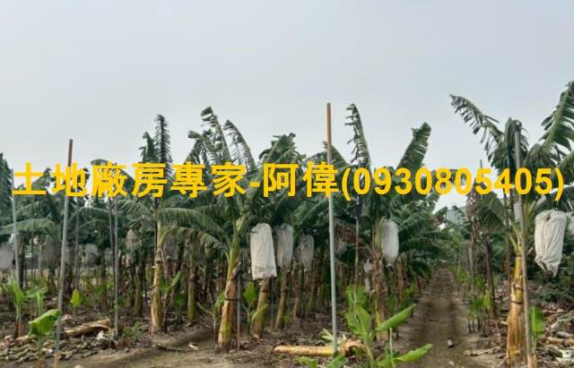 高雄農地-0