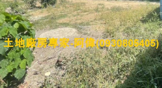 高雄農地-0