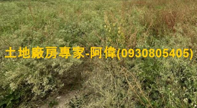 台南善化工業地-0