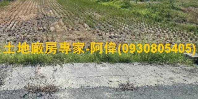 高雄橋頭農地-0
