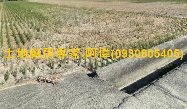 高雄橋頭農地-0