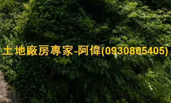 恆春農地-0