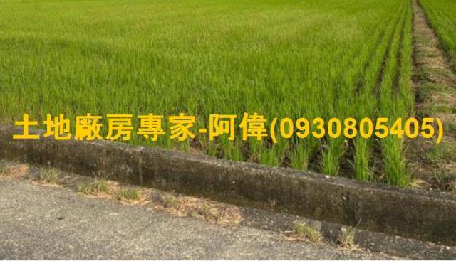 高雄鳥松農地-0