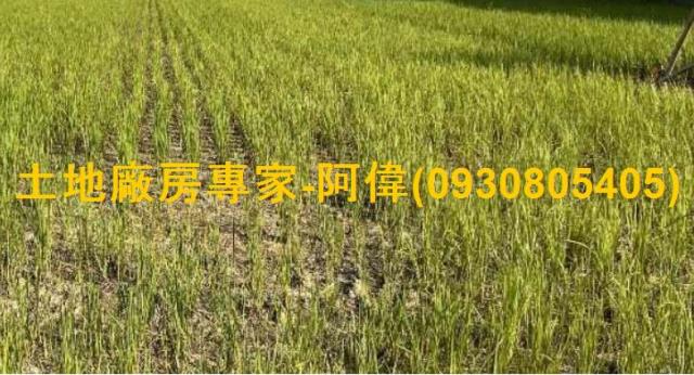 高雄鳥松農地-0