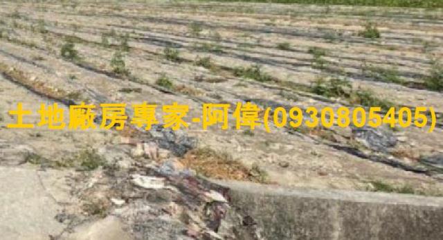 高雄大寮農地-0