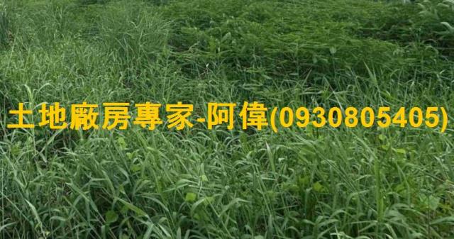 高雄大寮農地-0